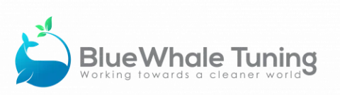 BlueWhale Tuning Environmental Services